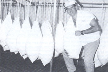 שנות ה-90: ייצור גבינת נפוליאון במחלבת חיפה